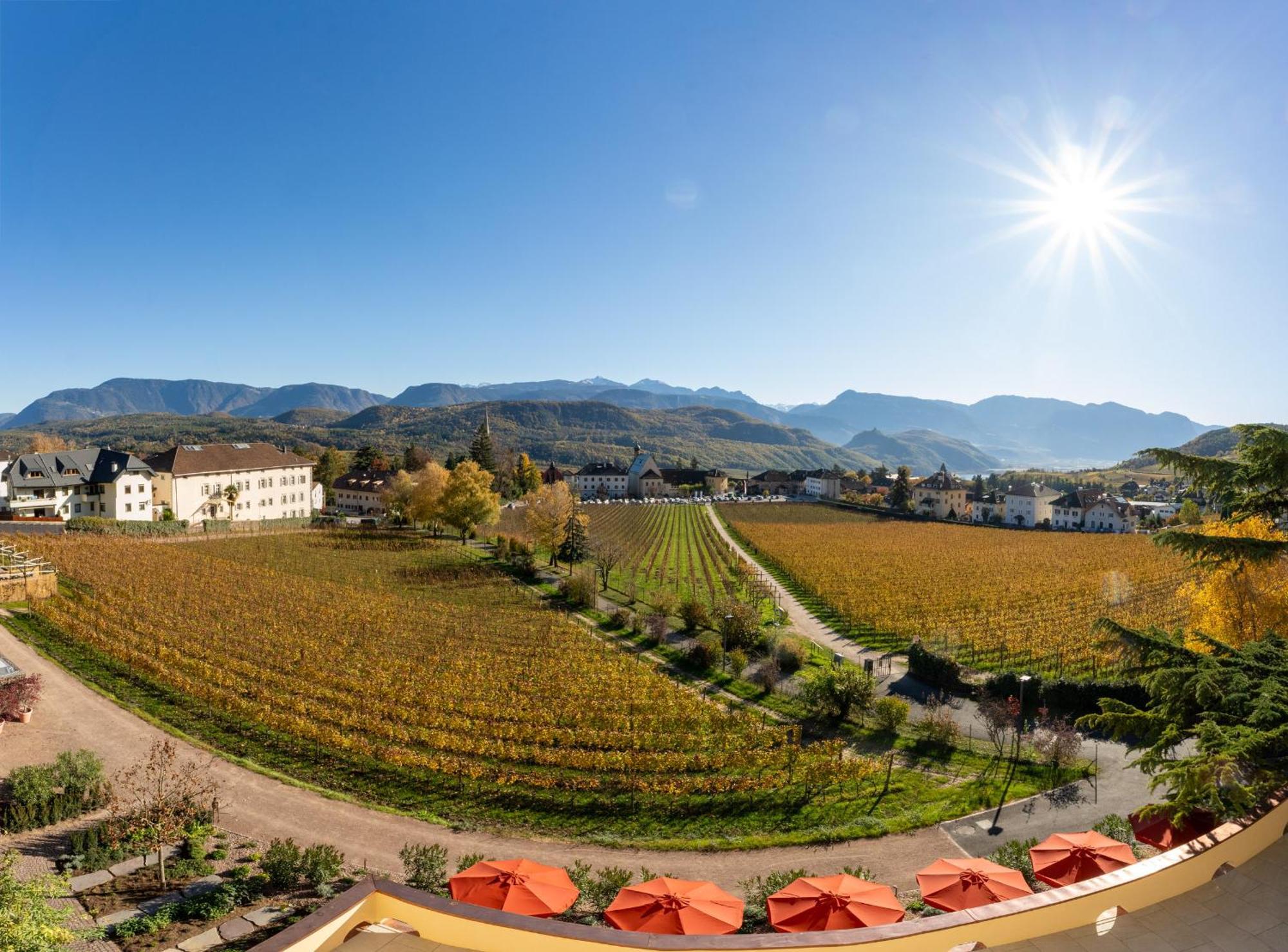 Castel Sallegg Suites Adults Only Caldaro Extérieur photo